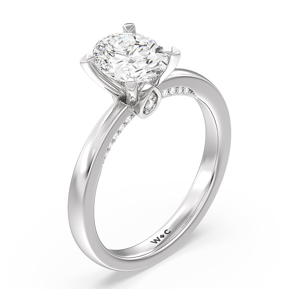 Oval Cut Adorned Hidden Accent Diamond Engagement Ring with Lab Grown Diamond in 14KT Platinum view 3
