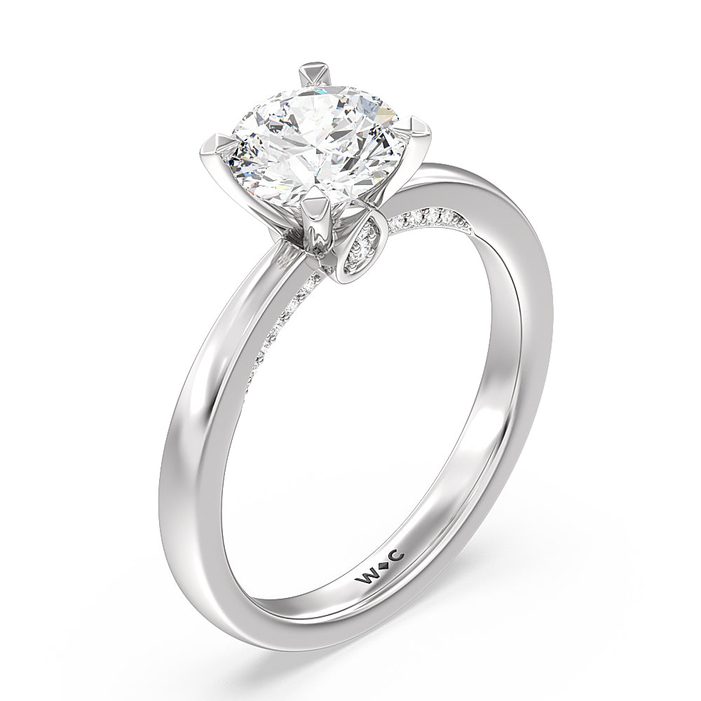 Round Cut Adorned Hidden Accent Diamond Engagement Ring with Lab Grown Diamond in 14KT Platinum view 3
