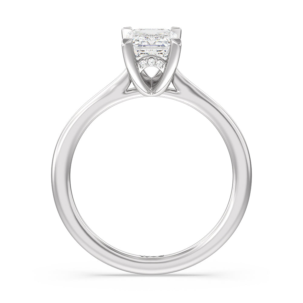 Emerald Cut Fine Line Cathedral Solitaire Engagement Ring with Lab Grown Diamond in 14KT Platinum view 2
