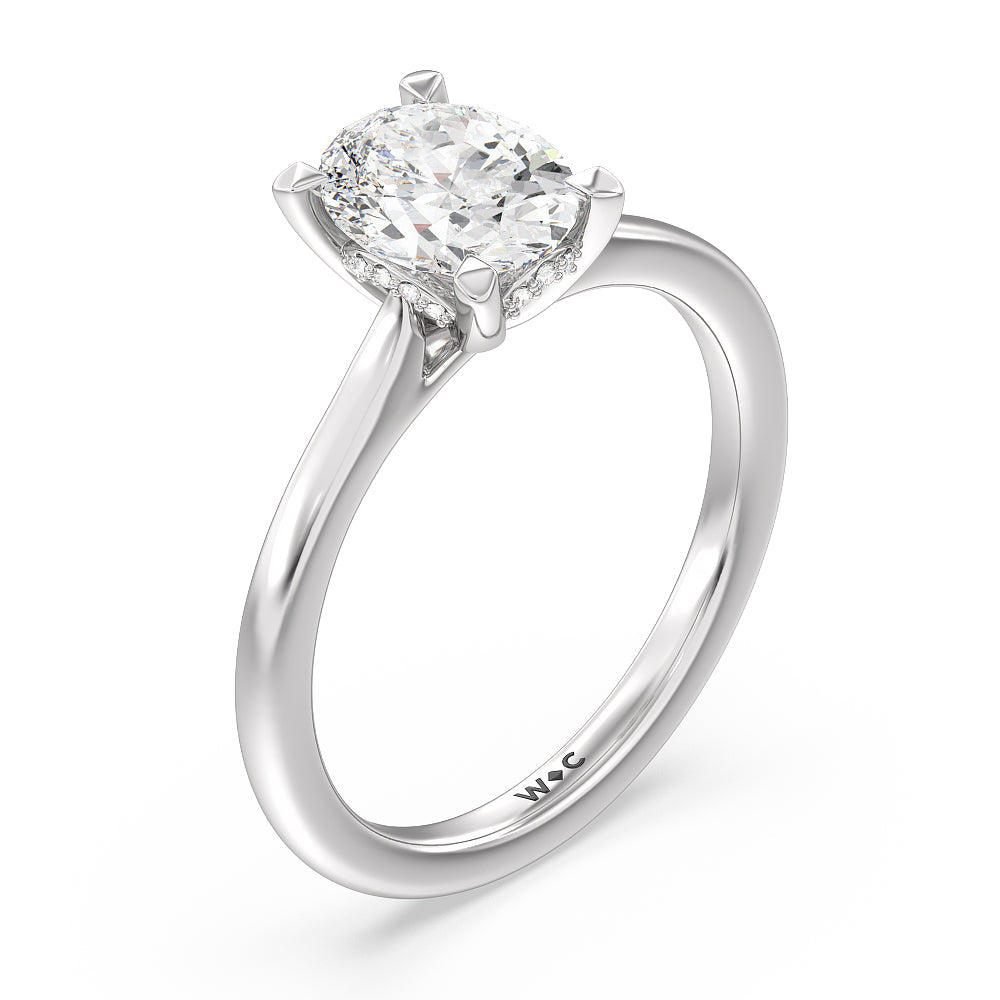 Oval Cut Fine Line Cathedral Solitaire Engagement Ring with Lab Grown Diamond in 14KT Platinum view 3
