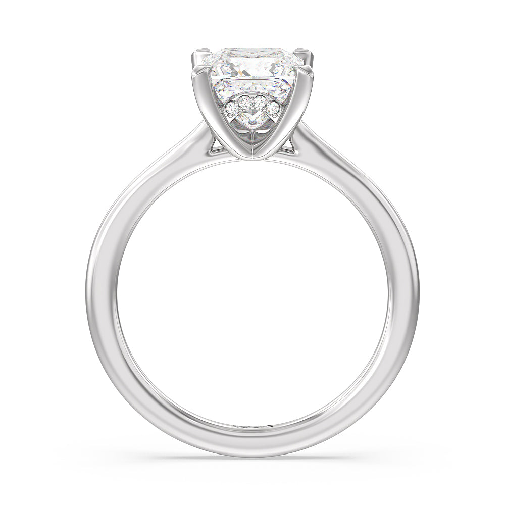 Princess Cut Fine Line Cathedral Solitaire Engagement Ring with Lab Grown Diamond in 14KT Platinum view 2
