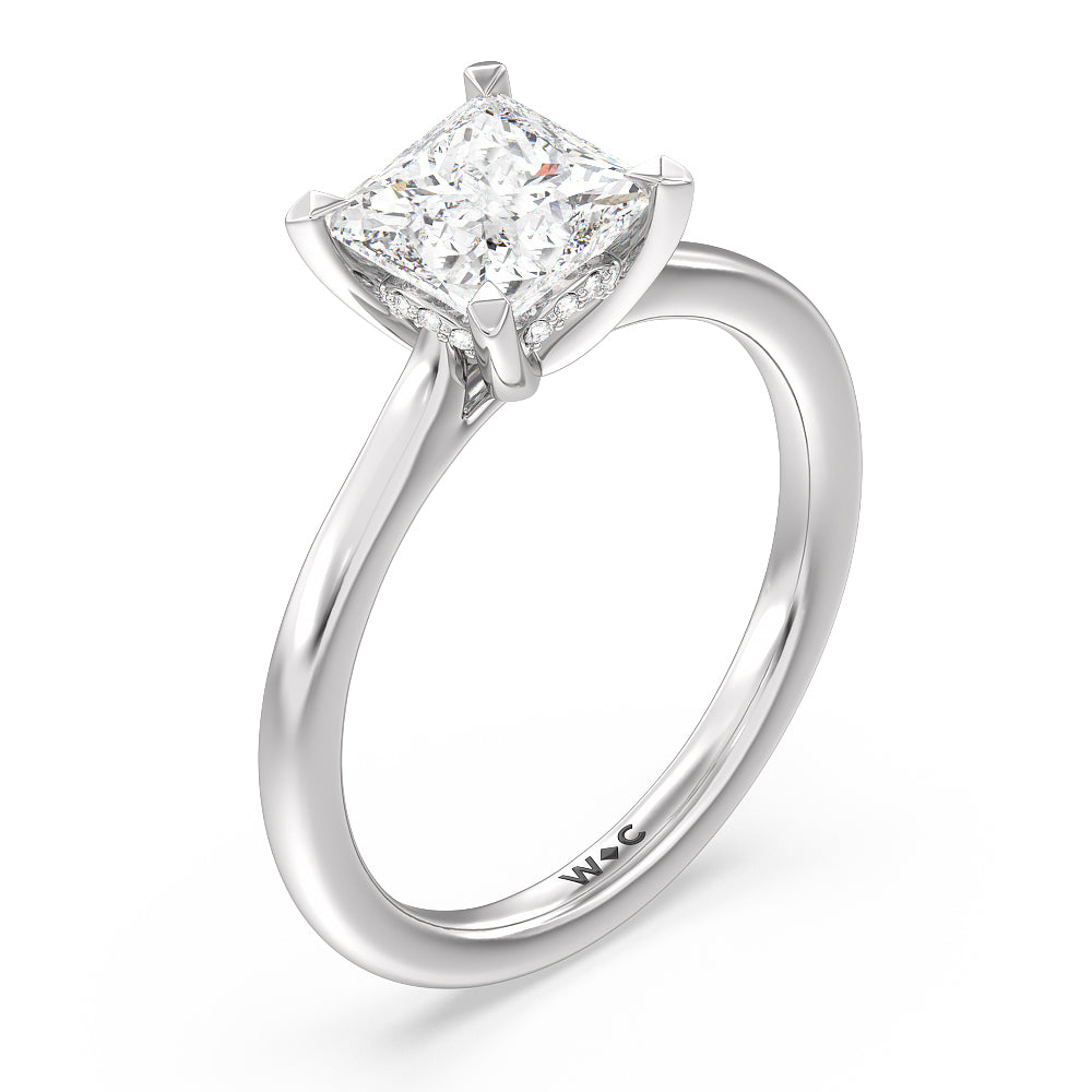 Princess Cut Fine Line Cathedral Solitaire Engagement Ring with Lab Grown Diamond in 14KT Platinum view 3
