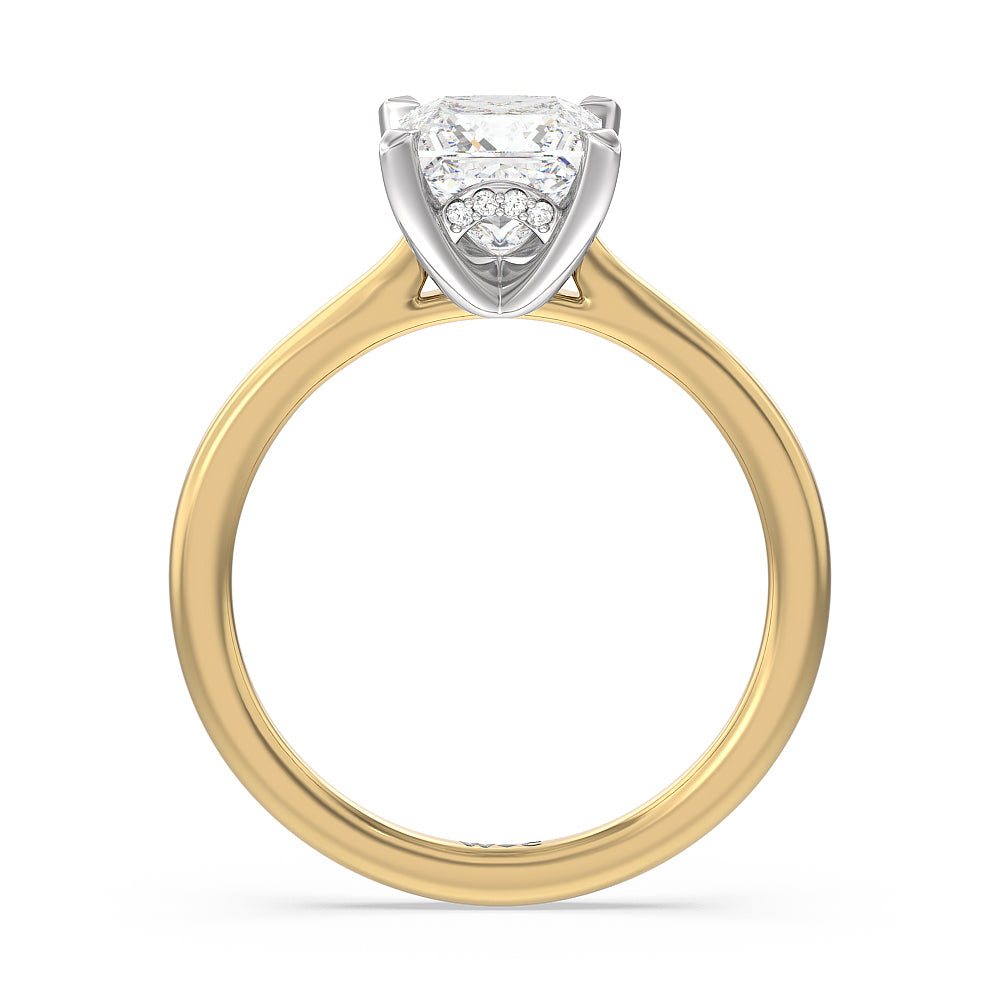 Princess Cut Fine Line Cathedral Solitaire Engagement Ring with Lab Grown Diamond in 14KT White & Yellow Gold view 2
