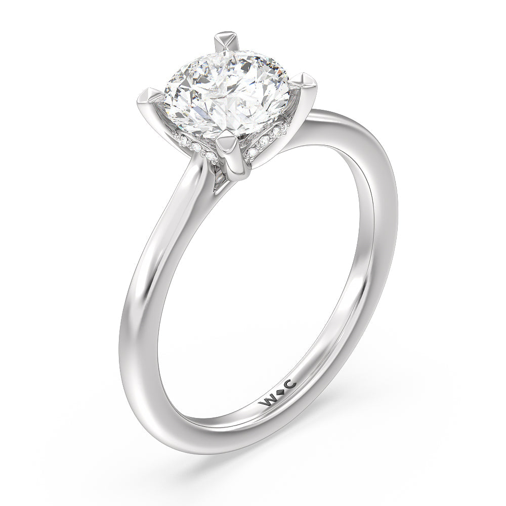 Round Cut Fine Line Cathedral Solitaire Engagement Ring with Lab Grown Diamond in 14KT Platinum view 3
