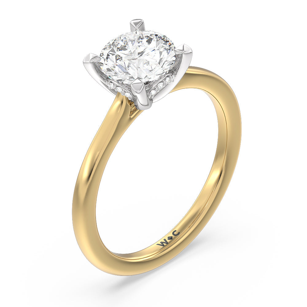Round Cut Fine Line Cathedral Solitaire Engagement Ring with Lab Grown Diamond in 14KT White & Yellow Gold view 3
