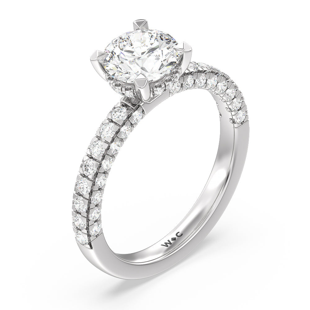 Aura Hidden Accent Engagement Ring with Round Cut Diamond in 14KT Platinum view 3
