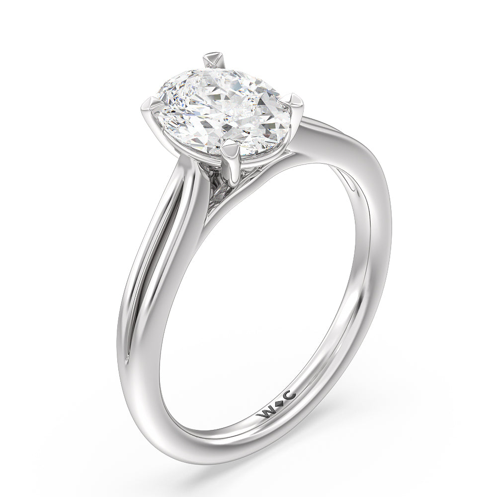 Oval Cut Delicate Pinched Cathedral Solitaire Engagement Ring with Lab Grown Diamond in 14KT Platinum view 3
