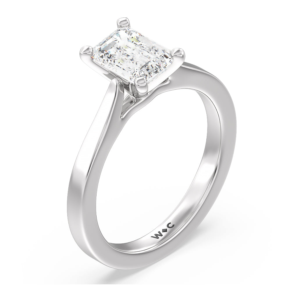 Medi Sleek Cathedral Solitaire Engagement Ring with Emerald Cut Diamond in 14KT Platinum view 3
