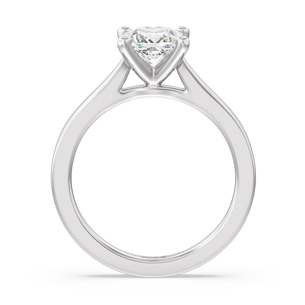 Medi Sleek Cathedral Solitaire Engagement Ring with Princess Cut Diamond in 14KT Platinum view 2
