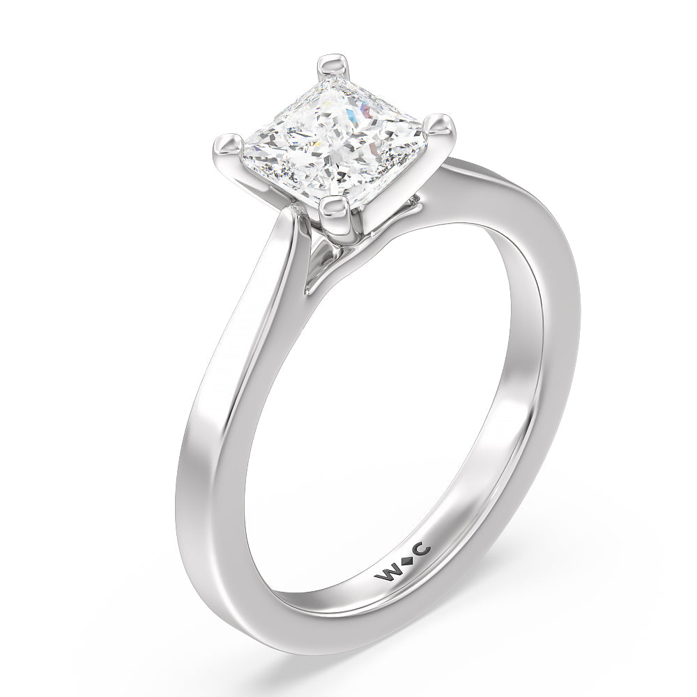 Medi Sleek Cathedral Solitaire Engagement Ring with Princess Cut Diamond in 14KT Platinum view 3
