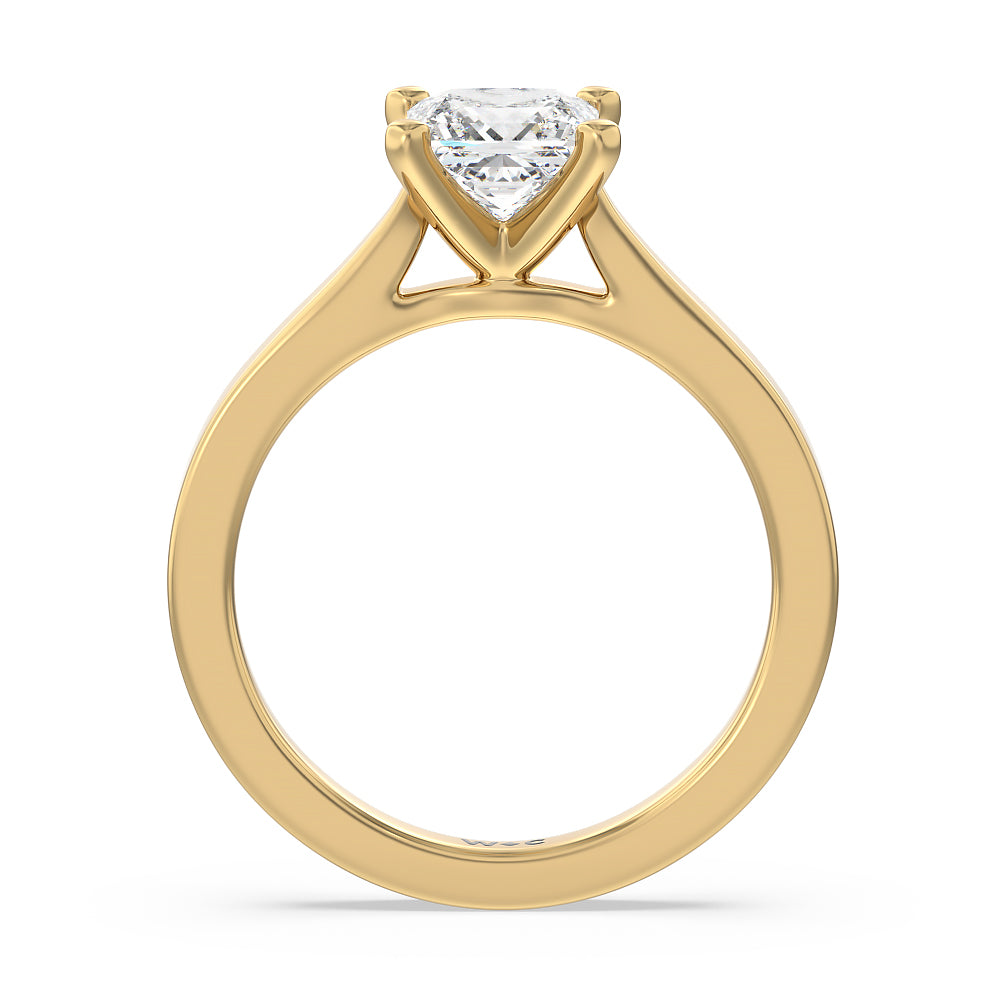 Medi Sleek Cathedral Solitaire Engagement Ring with Princess Cut Diamond in 14KT Yellow Gold view 2
