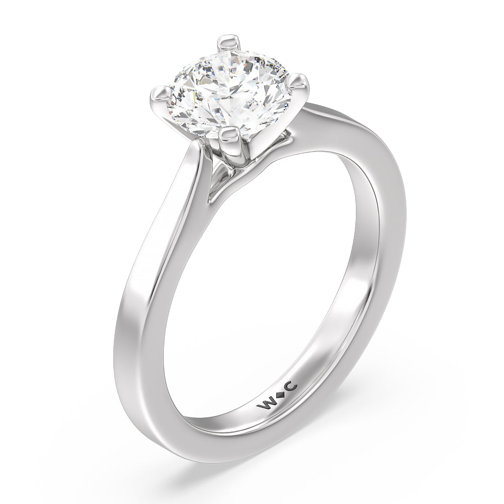 Medi Sleek Cathedral Solitaire Engagement Ring with Round Cut Diamond in 14KT Platinum view 3
