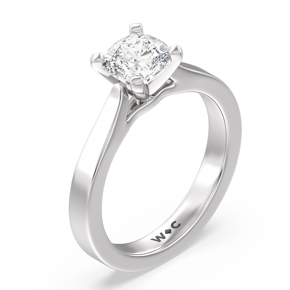 Cushion Cut Maxi Sleek Cathedral Solitaire Engagement Ring with Lab Grown Diamond in 14KT Platinum view 3
