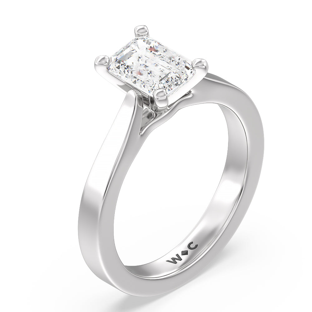 Emerald Cut Maxi Sleek Cathedral Solitaire Engagement Ring with Lab Grown Diamond in 14KT Platinum view 3
