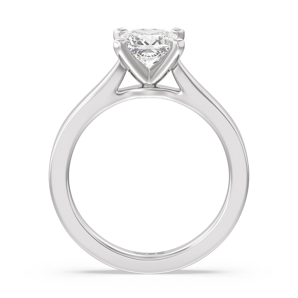 Princess Cut Maxi Sleek Cathedral Solitaire Engagement Ring with Lab Grown Diamond in 14KT Platinum view 2
