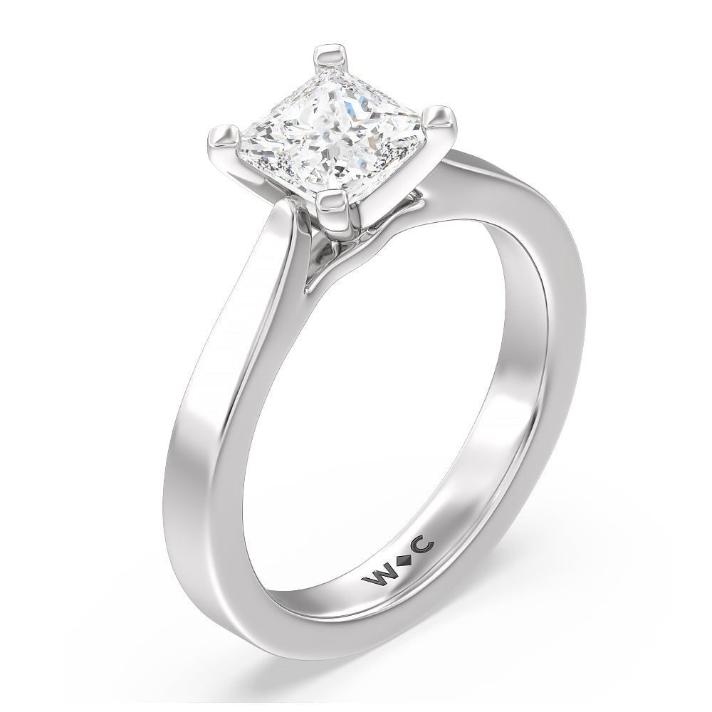 Princess Cut Maxi Sleek Cathedral Solitaire Engagement Ring with Lab Grown Diamond in 14KT Platinum view 3
