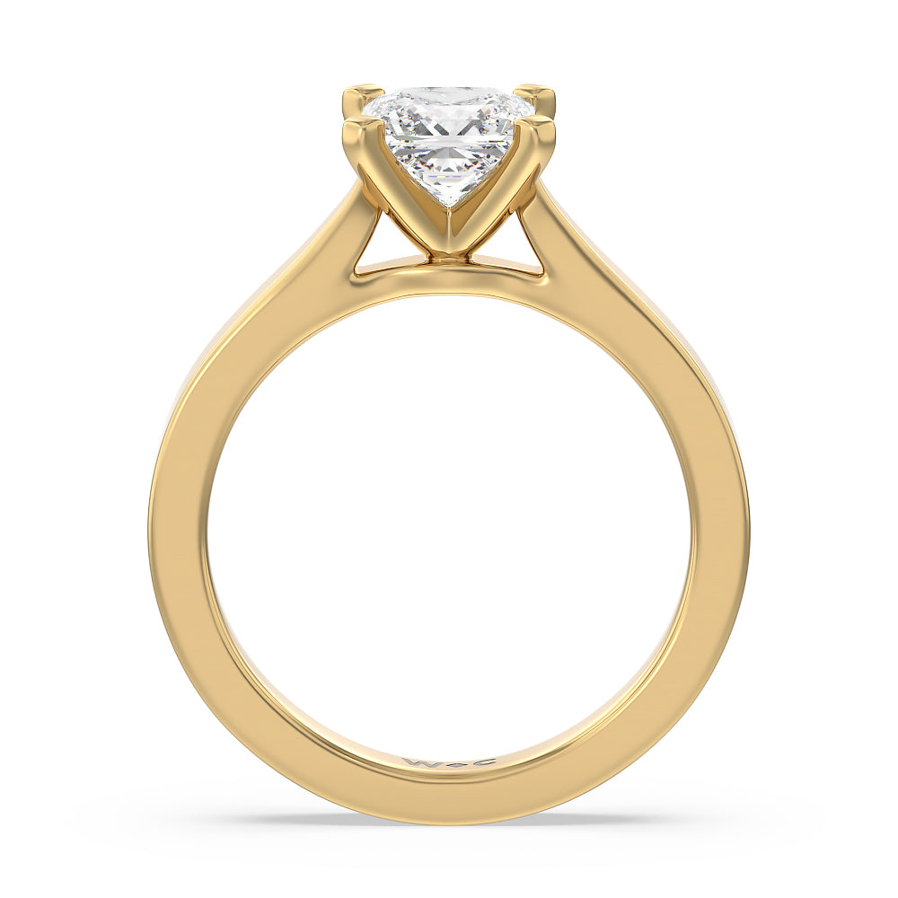 Princess Cut Maxi Sleek Cathedral Solitaire Engagement Ring with Lab Grown Diamond in 14KT Yellow Gold view 2
