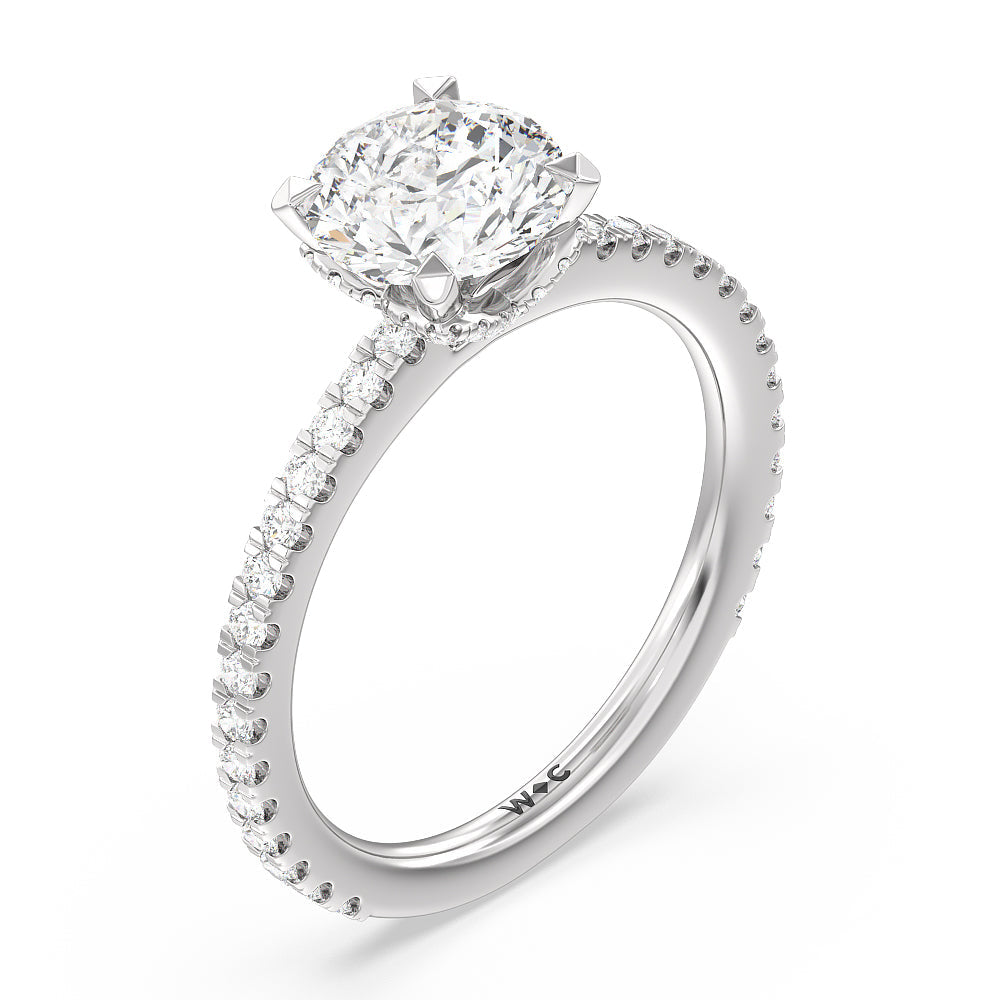 Ara Midi Hidden Halo Engagement Ring with Round Cut Diamond in 14KT Platinum view 3
