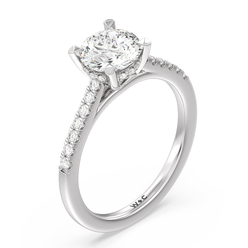 Cathedral Diamond Pave Hidden Halo Engagement Ring with Round Cut Diamond in 14KT Platinum view 3
