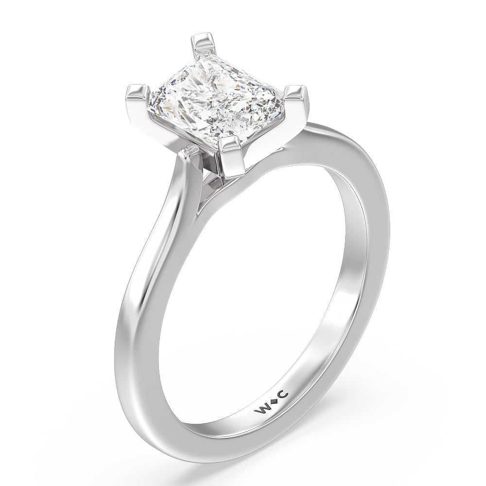 Sleek Cathedral Solitaire Engagement Ring with Radiant Cut Diamond in 14KT Platinum view 3
