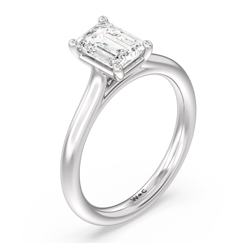 Poise Basket Diamond Engagement Ring with Emerald Cut Diamond in 14KT Platinum view 3
