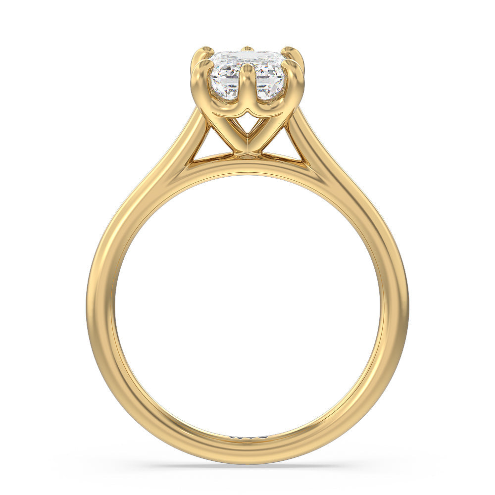 Six Prong Cathedral Basket Engagement Ring with Emerald Cut Diamond in 14KT Yellow Gold view 2
