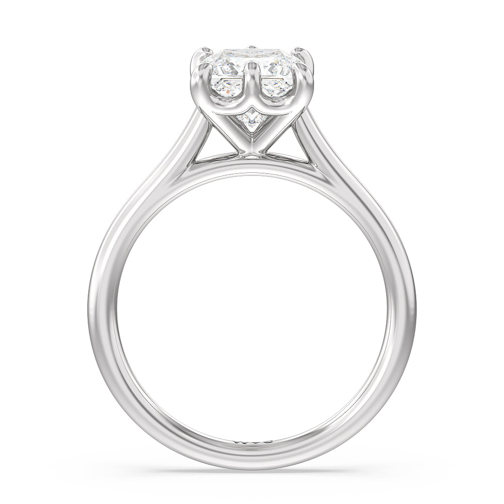 Six Prong Cathedral Basket Engagement Ring with Princess Cut Diamond in 14KT Platinum view 2
