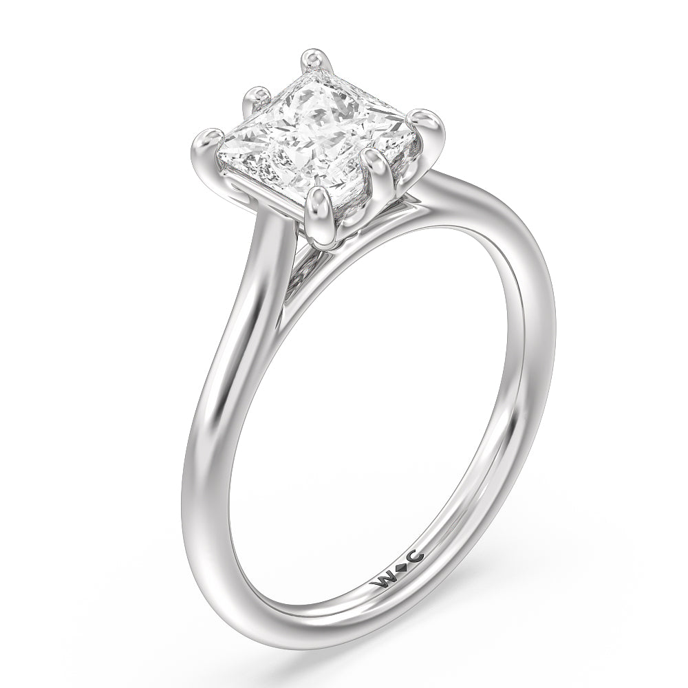 Six Prong Cathedral Basket Engagement Ring with Princess Cut Diamond in 14KT Platinum view 3
