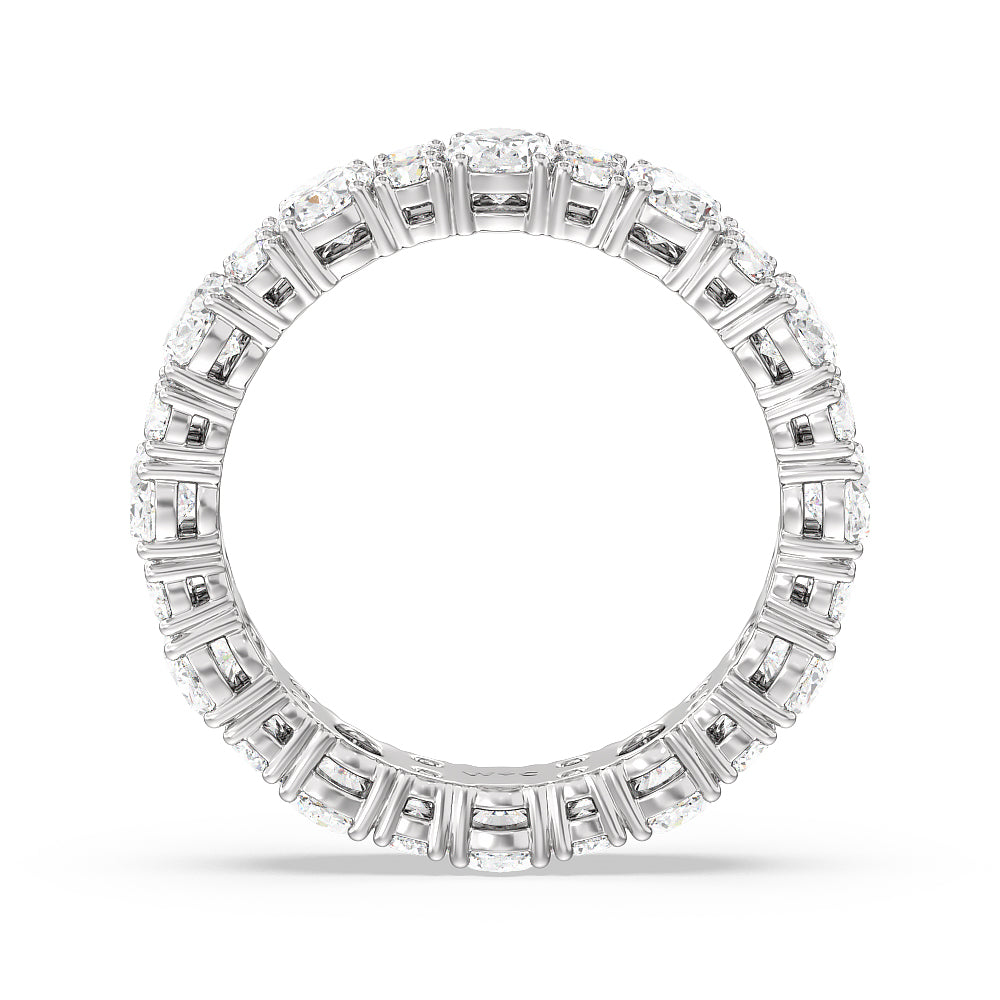 Oval & Round Station Eternity Ring with Platinum / Natural / 4 Cut Diamond in 14KT Platinum / Natural / 4 view 3
